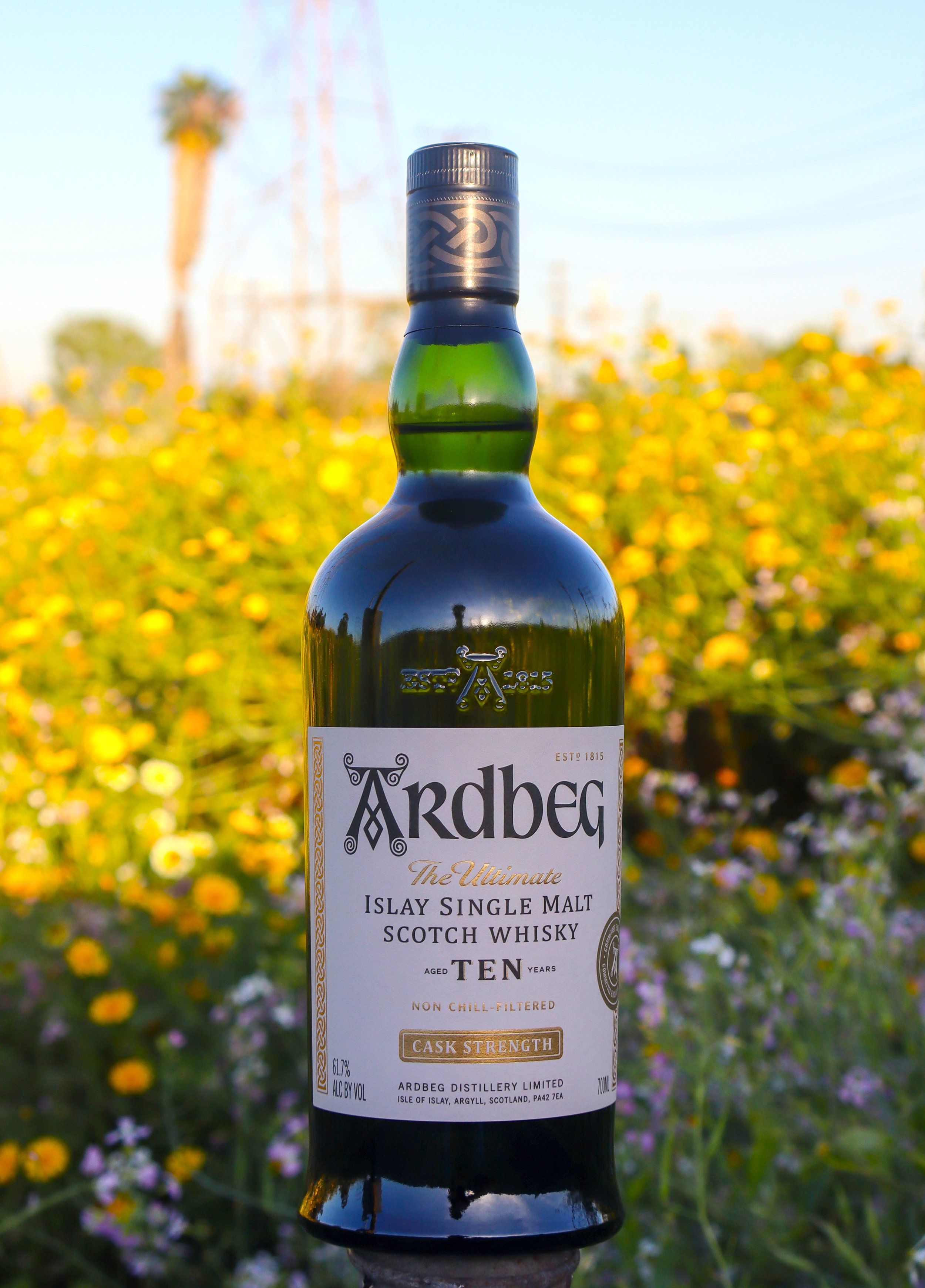 Ardbeg 10yo Cask Strength — Dramface